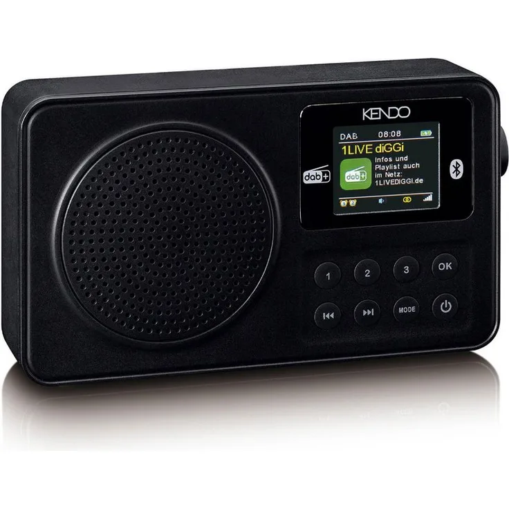 Kendo portable DAB+ 24EX Digitalradio, DAB+ und FM Empfang, Bluetooth 5.3, 1,77 Zoll Farbdisplay, integrierter Akku bis 10 Stunden, USB-C Ladeanschluss