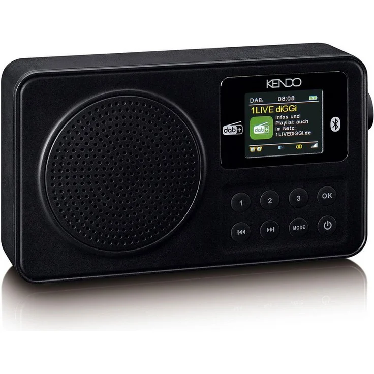 Kendo portable DAB+ 24EX Digitalradio, DAB+ und FM Empfang, Bluetooth 5.3, 1,77 Zoll Farbdisplay, integrierter Akku bis 10 Stunden, USB-C Ladeanschluss