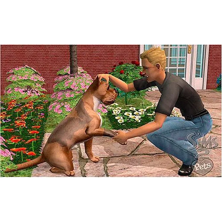 Die Sims 2 - Haustiere (PC) – Bild 3