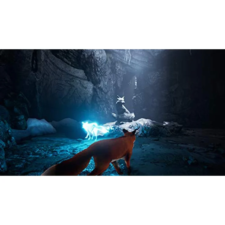 Spirit of the North (Switch) – Bild 3