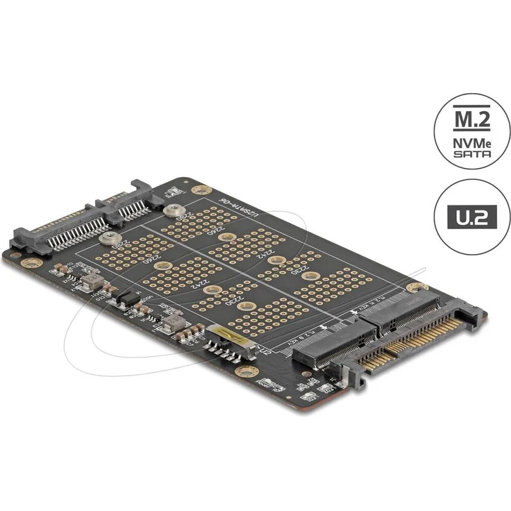DELOCK Konverter M.2 Key M NVMe SSD > U.2 und M.2 Key B SATA, Unterstützt 2280/2260/2242/2230 Formate, inkl. LED-Anzeige und Modus-Schalter