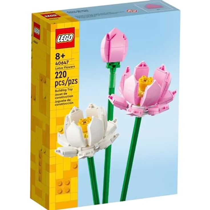 Lotus Flowers – Bild 2