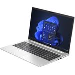 HP ProBook 450 G10 (816F4EA) (Silber, Windows 11 Pro 64-Bit, 512 GB SSD)