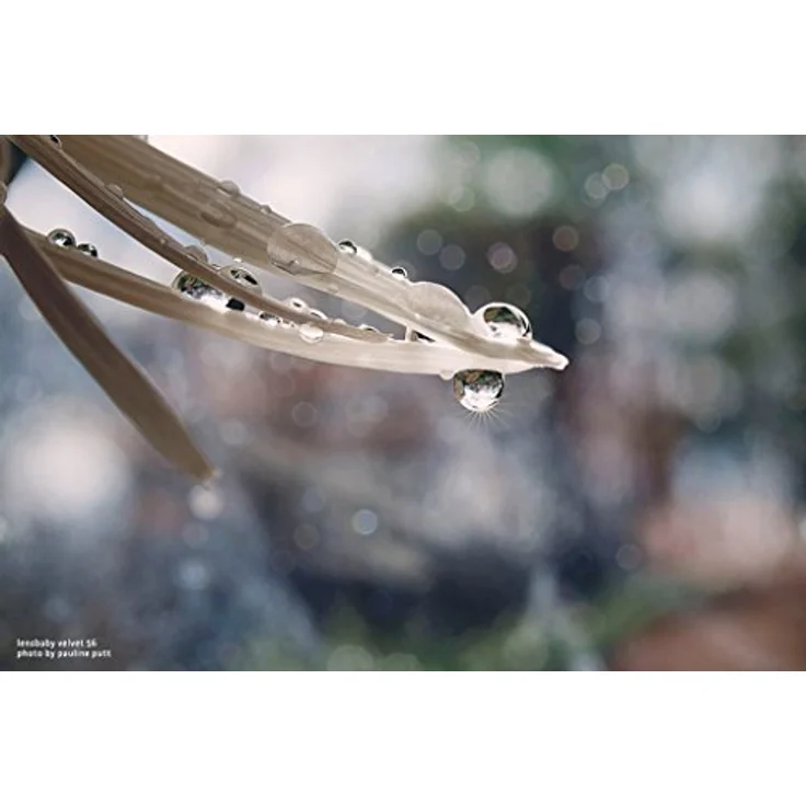 Lensbaby Velvet 56 Fuji X - Porträt und Makro Objektiv - ideal für samtige Bokeh-Effekte und kreative Unschärfe - Brennweite 56 mm, Blende f-1,6 - 1:2 Makro Vergrößerung mit 13 cm Naheinstellgrenze - passend für Fuji Systemkameras - schwarz – Bild 6