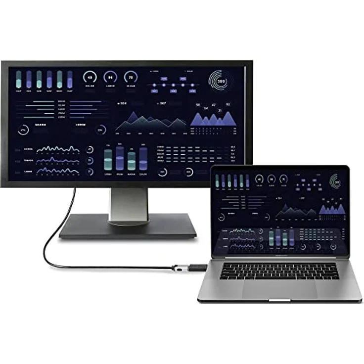 Renkforce RF-4746622 HDMI/DisplayPort Adapter, 1x DisplayPort Stecker - 1x HDMI-Buchse, Schwarz – Bild 4