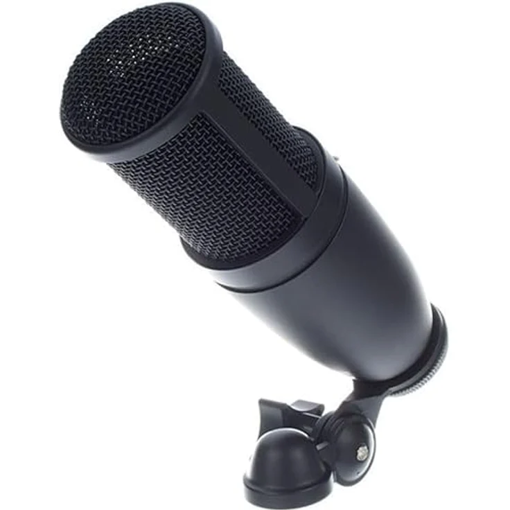 AKG P120 Studio-Kondensator-Aufnahmemikrofon – Bild 5