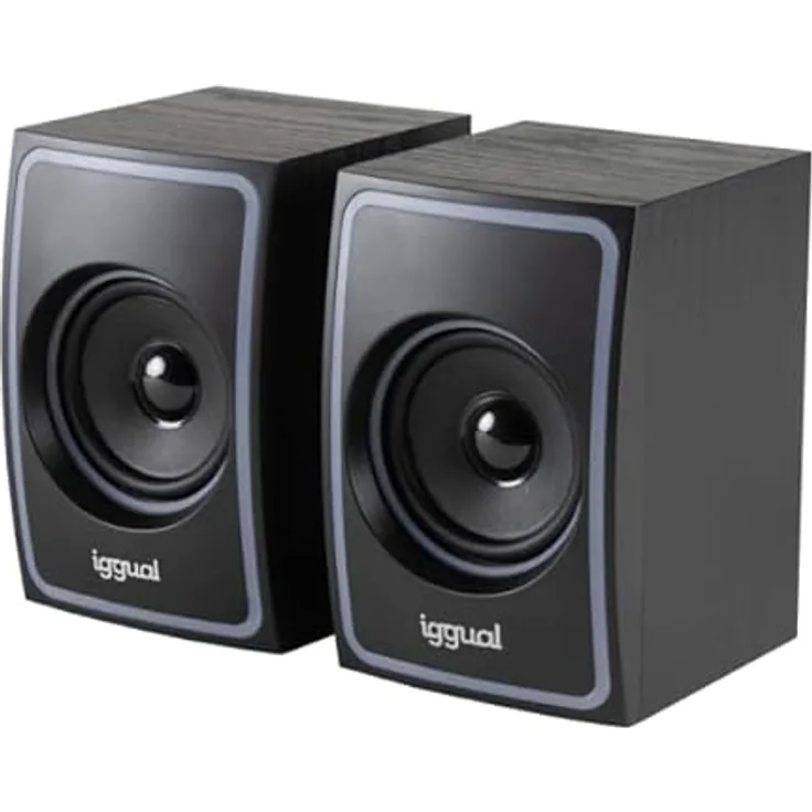 iggual Lautsprecher 2.0, 10 W, Mini-Jack + USB Bluetooth, Originalmarke mit 3 Jahren Garantie