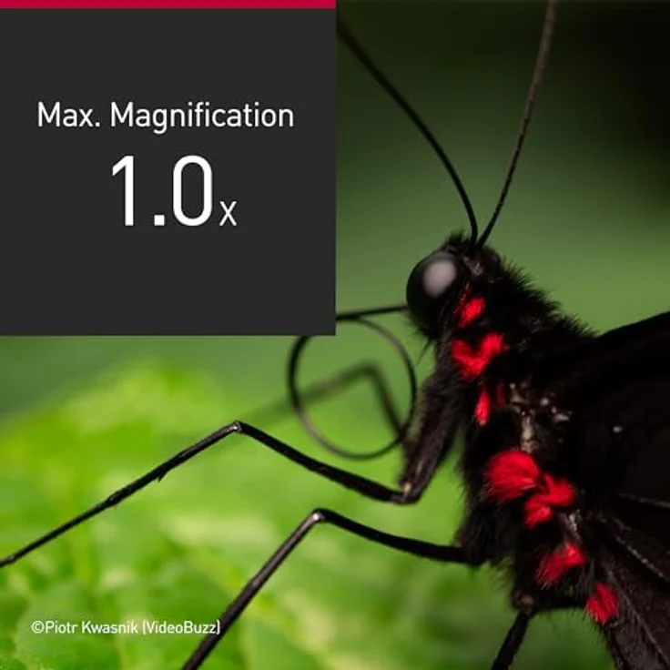 Panasonic Lumix S-E100: 100 mm F2.8 Makroobjektiv, Vollformat-Kameraobjektiv, kompaktes & leichtes Design, 298 g, Zweiphasen-Linearmotor, 1:1 Vergrößerung, ideal für Video,Schwarz – Bild 4