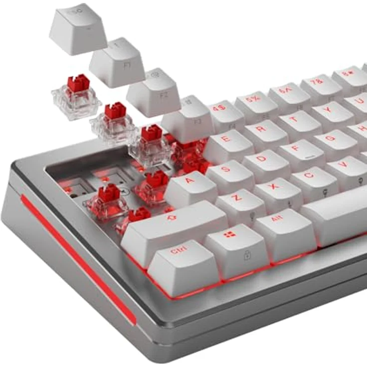Glorious Fox HE Standard Switches, Hall-Effekt, linear, MX-Stem, 45g - lubed, 36 Stück - Schwarz – Bild 6