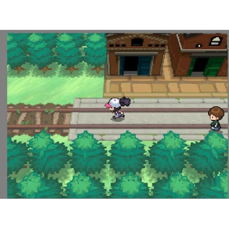 Pokémon - Weisse Edition (DS) – Bild 3