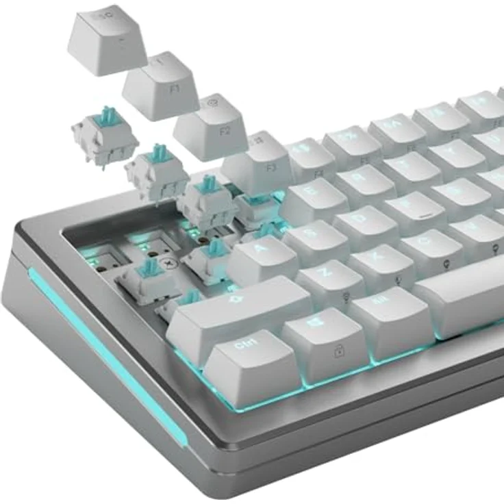 Glorious Lynx Standard Switches, mechanisch, 5-Pin, linear, MX-Stem, 40g - lubed, 36 Stück, schwarz. – Bild 6