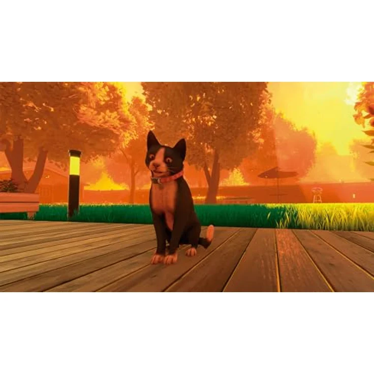 Tesura Games Copycat (PS5) (PEGI Import), Standard Edition mit Physischem Spiel und Postkarte von Dawn & Olive – Bild 4