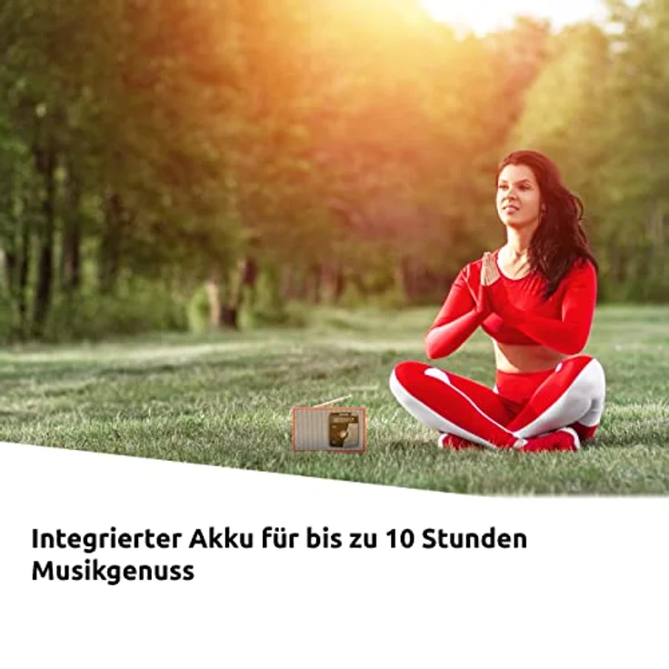 DIGITRADIO 2, rot/silber – Bild 4