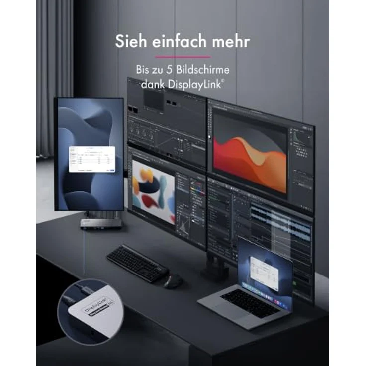 ICY BOX Diamond Dock 7402, 12-in-1 DockingStation Netzwerk-Switch, silber/schwarz – Bild 2