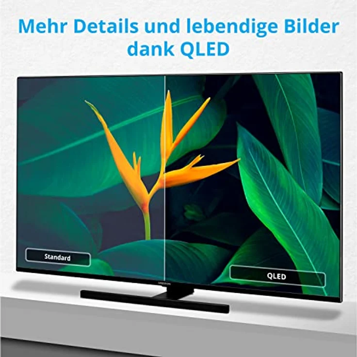 MEDION X15021 (MD 30961) 50 Zoll QLED Fernseher (4K, Dolby Vision HDR, Dolby Atmos, Netflix, Prime Video, Bluetooth) in elegantem Schwarz – Bild 4