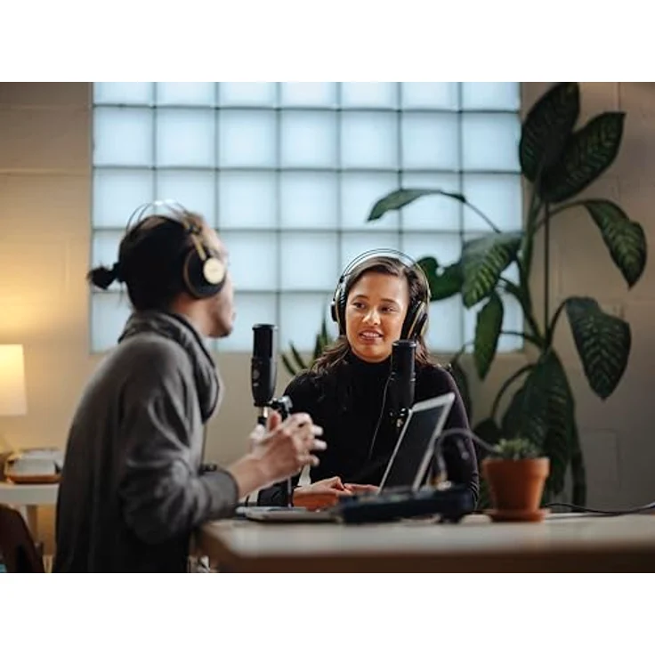 AKG P120 Studio-Kondensator-Aufnahmemikrofon – Bild 6