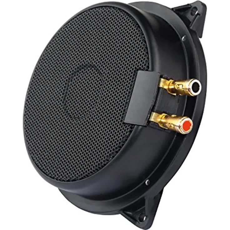 Sintron Rockwood Bodyshaker Extreme 100 Watt Subwoofer, 4 Ohm, schwarz