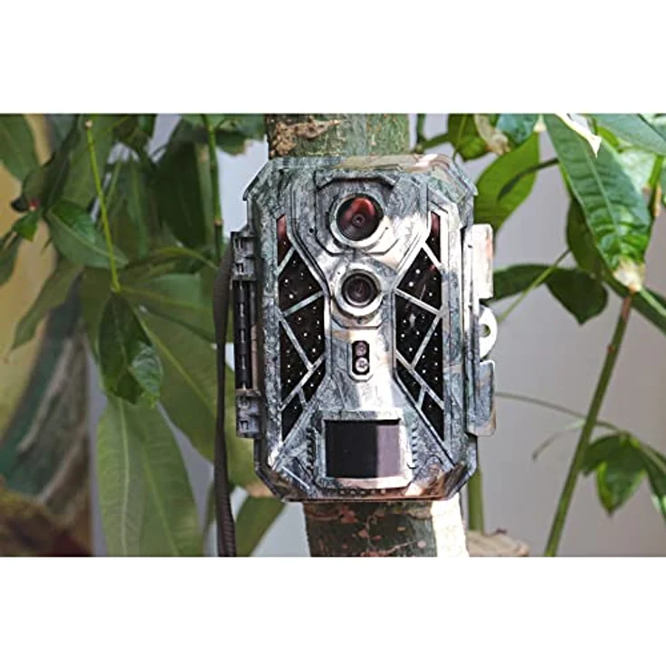 Braun Phototechnik BRAUN Scouting Cam Black820 Dual Sensor Wildkamera (4K-Auflösung, 32 MP, Zeitrafferfunktion, Tonaufzeichnung) - Preisvergleich – Bild 3