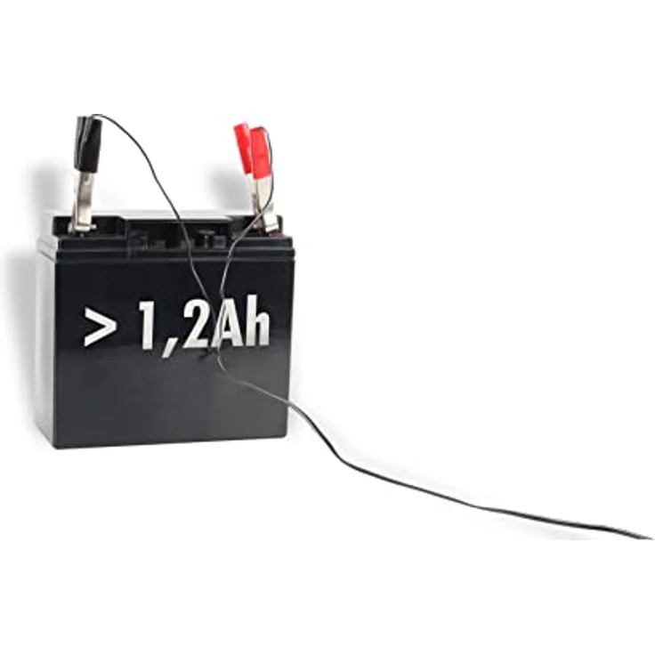 ANSMANN Batterie Ladegerät 2V - 6V - 12V mit Erhaltungsladung zum Laden & Einlagern von Blei Akkus (Gel, Wet, MF, VRLA, AGM) für Oldtimer, Motorrad, Roller, Rasenmäher, Boote usw. – Bild 5