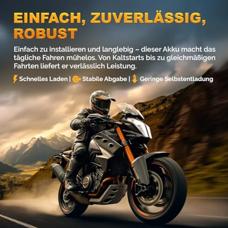 Electronicx YTX14-BS AGM Motorradbatterie 14Ah 12V 210A, wartungsfrei, rüttelfest, auslaufsicher für Motorrad, Roller, Quad und ATV – Bild 6