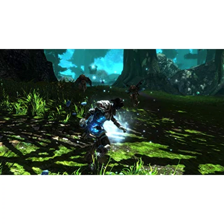 Kingdoms of Amalur Re-Reckoning (Xbox One) – Bild 2