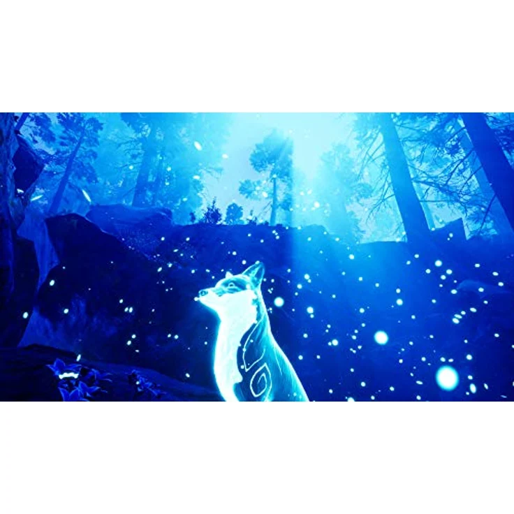 Spirit of the North (Switch) – Bild 4
