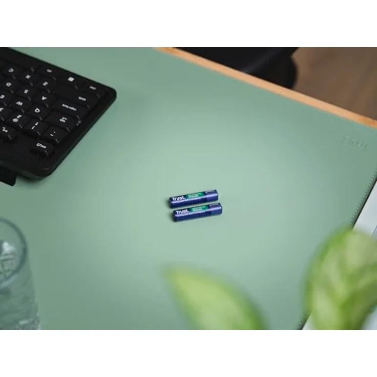 Trust USB-C Wiederaufladbare Batterien AAA 2 Stück, Akku mit 500 mAh Kapazität und schneller Ladefunktion – Bild 5