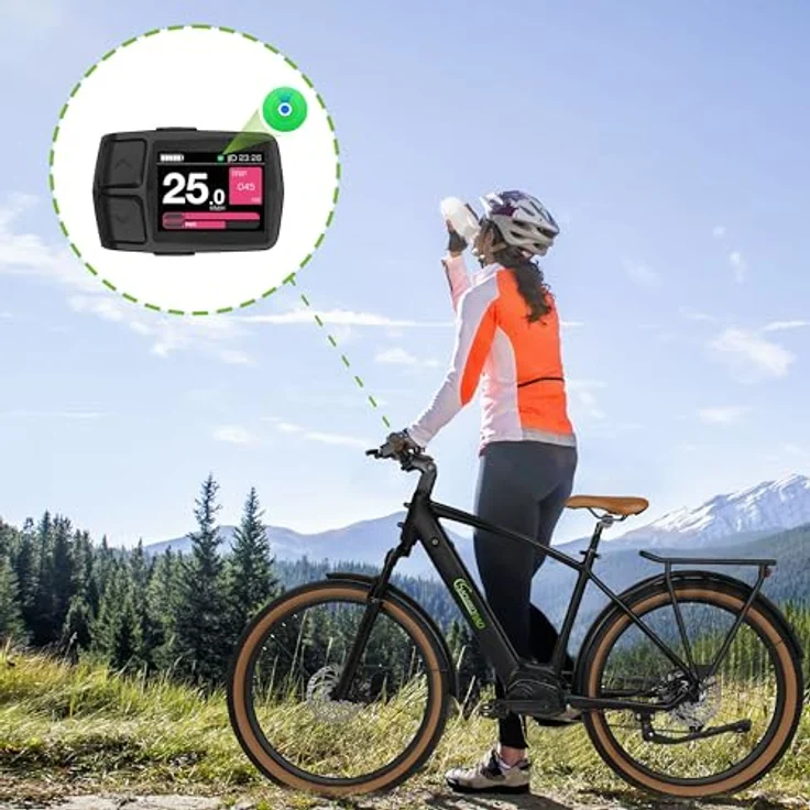 SachsenRAD E-Bike LCD Display Meter Fahrradcomputer, 2,0” IPS Hochhelligkeits-Hochauflösungsdisplay für 24V, 36V, 48V Elektrofahrräder, wasserdichter Stecker, 22,2 mm Lenker, schwarz – Bild 5