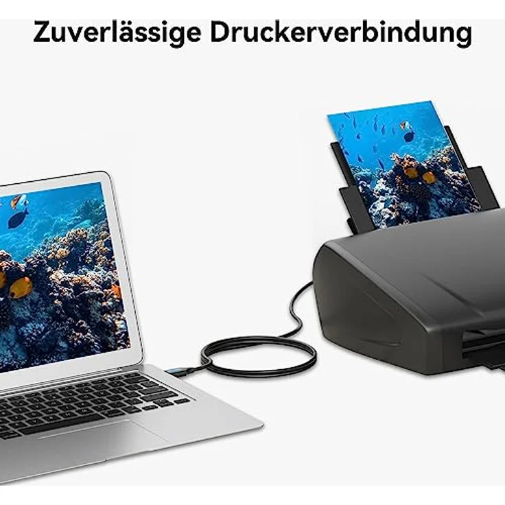 VENTION Druckerkabel USB 2m USB A auf USB B Kabel, stabil und langlebig, für Drucker, Scanner, HP, Dell, Canon, Lexmark, Xerox usw. – Bild 2