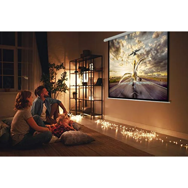 Celexon Leinwand Rollo Economy 240 x 135 cm – Bild 6