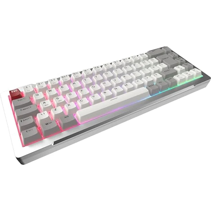 Raijintek MGA-68 Silber, 65% TKL Magnetschalter Gaming-Tastatur, kabelgebunden, Hot-Swappable, ARGB-Beleuchtung, CNC-Aluminumrahmen, USB-C, kompatibel mit Windows und Mac – Bild 2