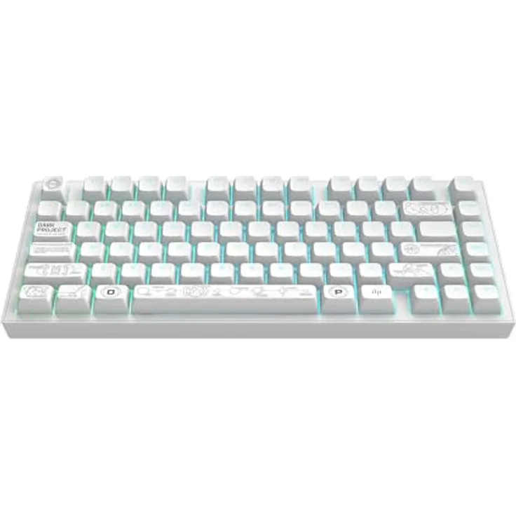 Dark Project Terra Nova R2, Kabellose Gaming-Tastatur mit G3MS Moonstone Switch, ANSI US Layout, Weiß