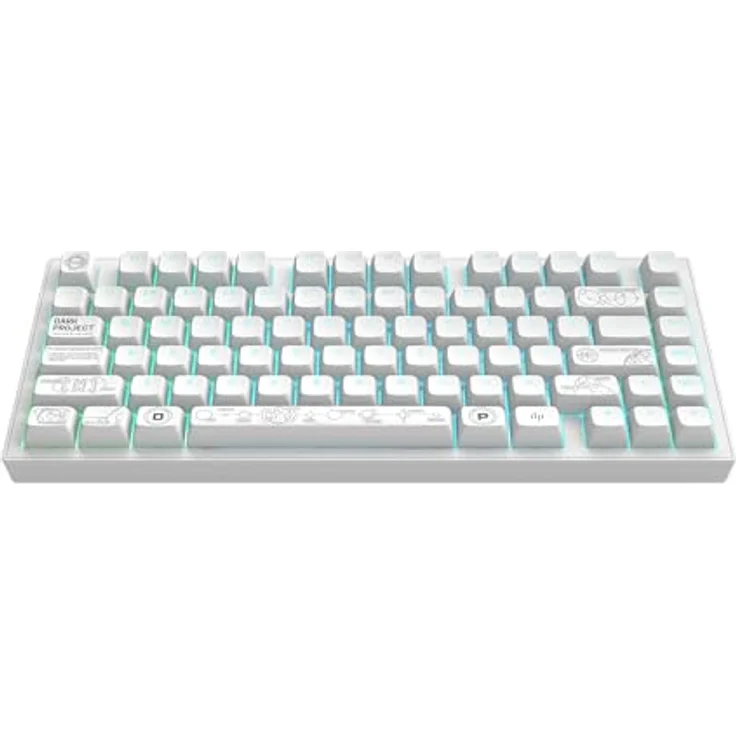 Dark Project Terra Nova R2, Kabellose Gaming-Tastatur mit G3MS Moonstone Switch, ANSI US Layout, Weiß – Bild 1