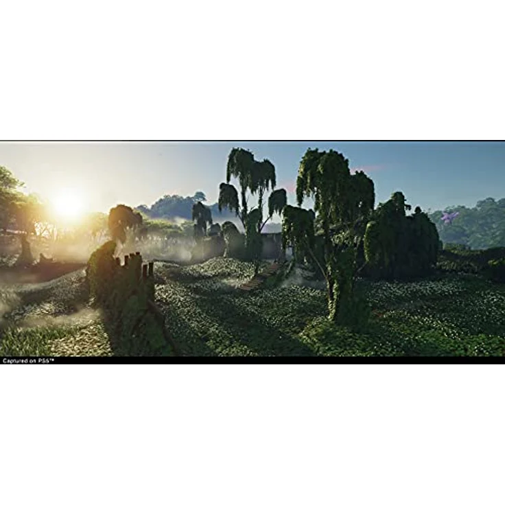 Ghost of Tsushima Director's Cut [PlayStation 5] – Bild 4