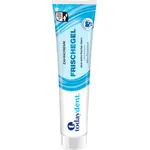 Today Dent Frischegel