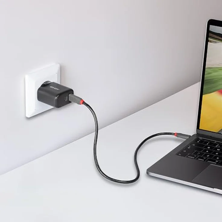 Lindy 65W USB 2 x Type C GaN Charger mit EU-Stecker, kompaktes und leistungsstarkes USB Ladegerät, Schwarz – Bild 4