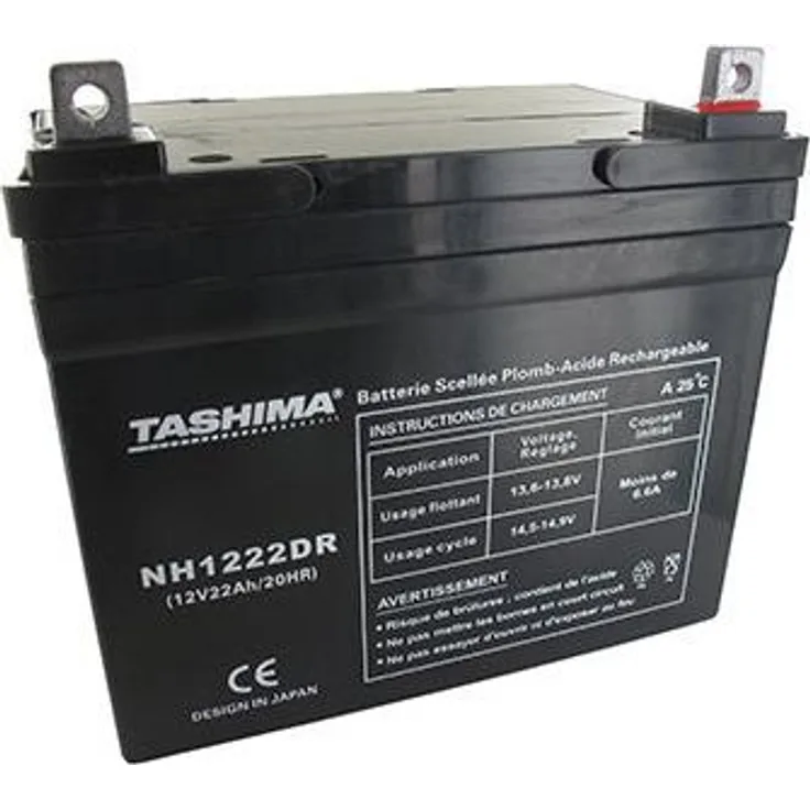 Tashima Gel/AGM Batterie 100% wasserdicht, 12V 22A für Rasentraktor, L: 195mm, B: 130mm, H: 180mm, + rechts