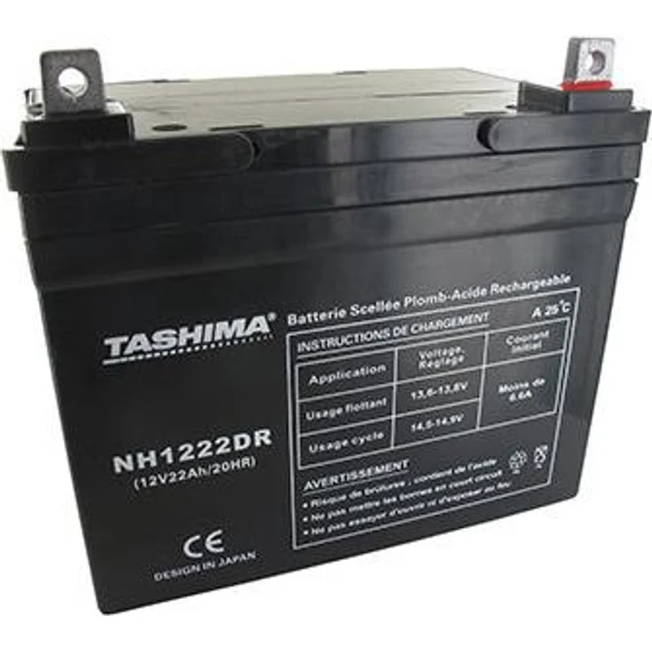 Tashima Gel/AGM Batterie 100% wasserdicht, 12V 22A für Rasentraktor, L: 195mm, B: 130mm, H: 180mm, + rechts