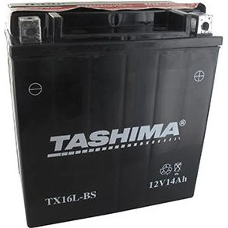 AUTRES Wasserdichte Wartungsfreie Blei-Batterie 12V, 14Ah, L: 150 mm, B: 87 mm, H: 161 mm, + rechts, mit getrenntem Säurebehälter