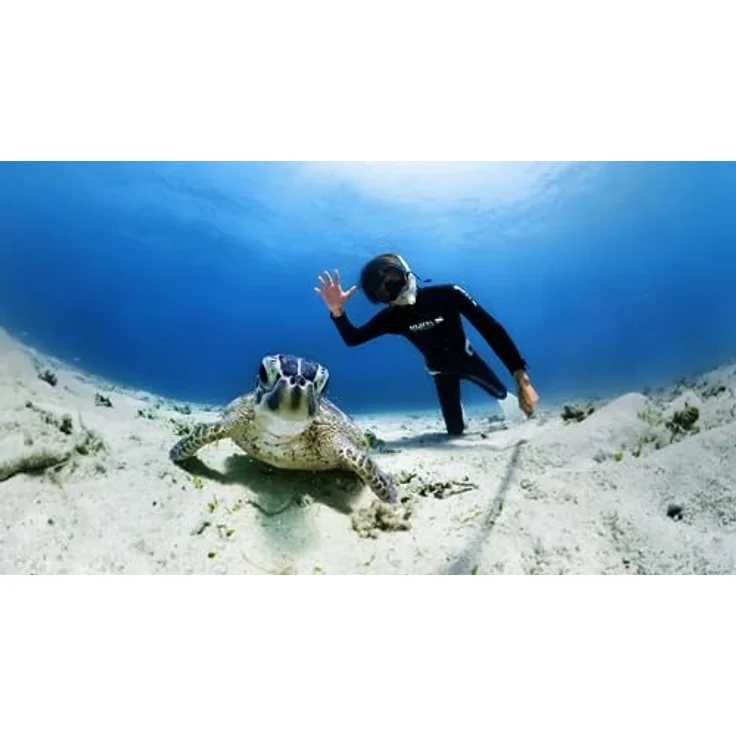 Insta360 X3 Tauchgehäuse Neu – Bild 4