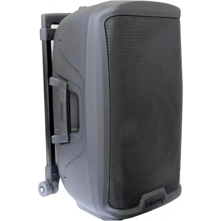 Gemini AS2112 To Go Tragbarer PA-Lautsprecher, 1x12" 200W, Bluetooth, mit Koffer und integriertem Akku