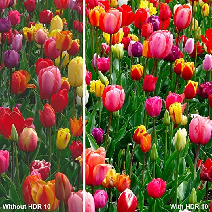 STRONG SRT55UD7553, 55" Smart TV mit Android, 4K UHD, HDR10, Google Voice Control, Schwarz – Bild 4