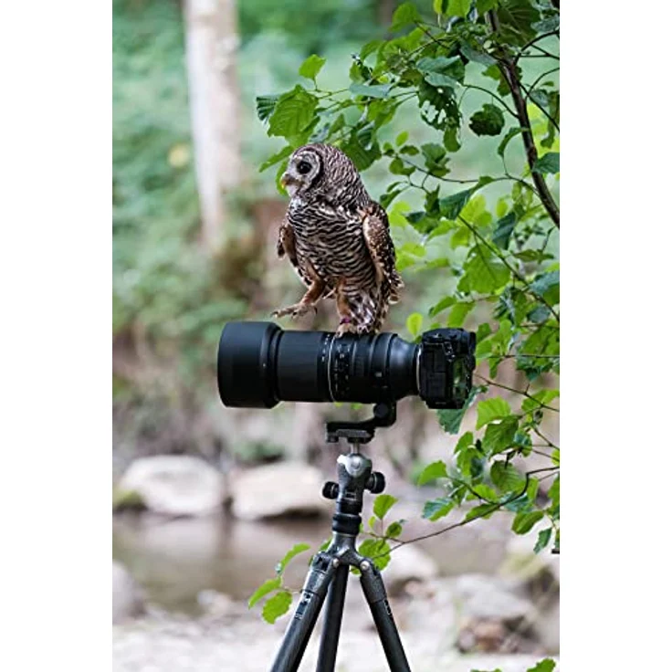 TAMRON 150-500mm F/5-6.7 Di III VC VXD, Objektiv für Fujifilm X-Mount, A057X, schwarz – Bild 5