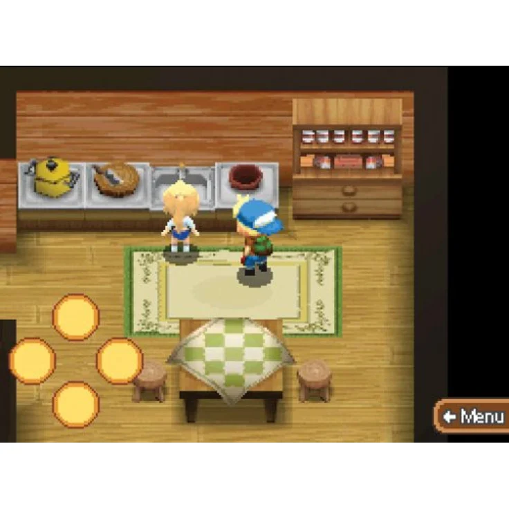 Harvest Moon (DS) – Bild 4