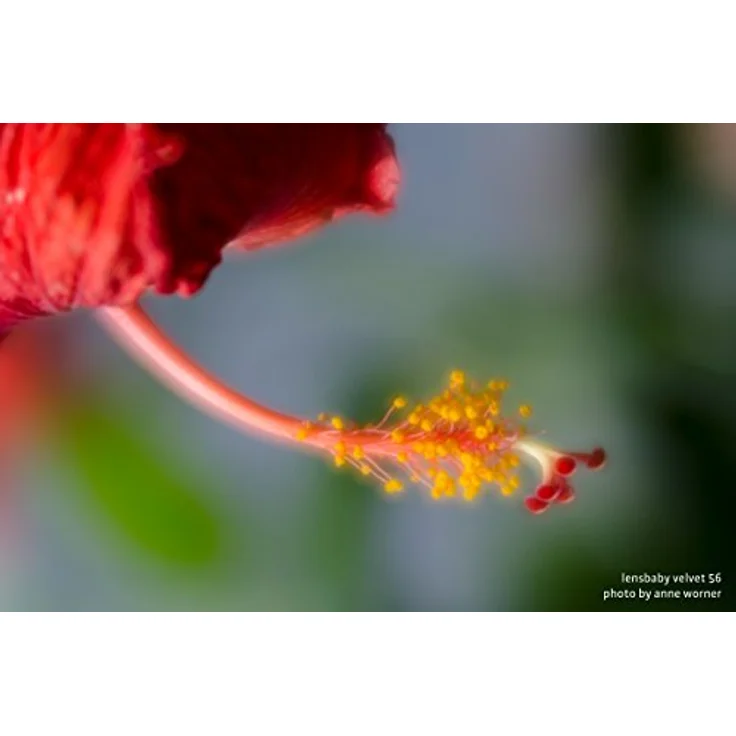 LENSBABY 56 mm / F 1.6 VELVET Nikon – Bild 4