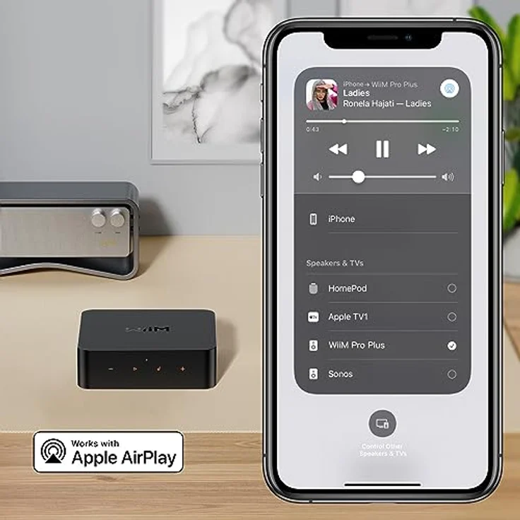 WiiM Pro Plus AirPlay 2 Receiver, Chromecast Audio, WiFi Multiroom Streamer, Roon Ready, Kompatibel mit Alexa, Siri, Google Assistant, Stream Hi-Res Audio von Spotify, Amazon Music, Tidal und mehr – Bild 3