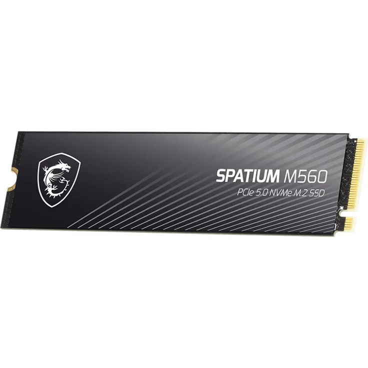 MSI Spatium M560 1TB SSD M.2 Golden - PCIe 5.0, Lesegeschwindigkeit bis zu 10.200 MB/s