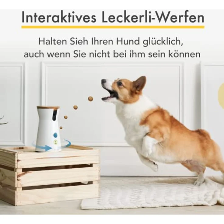 Furbo 360° Hundekamera: [Neu 2023] Rotierende 360°-Weitwinkel-Haustierkamera mit Leckerliwurf, Farbnachtsicht, 1080p-HD-Schwenk, 2-Wege-Audio, Bell-Alarm, WLAN, Entwickelt für Hunde – Bild 5