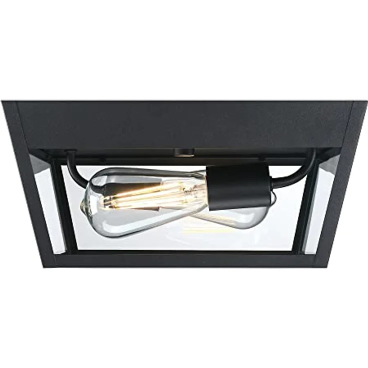 Westinghouse Lighting 6121940 Moderne zweiflammige Leuchte Peterson Deckenmontage, strukturiertes Schwarz mit Klarglas – Bild 2