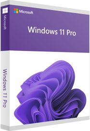 Windows 11 Pro 64Bit | 1 Lizenz